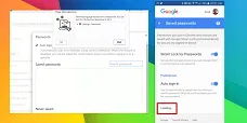 Google Passwords Not Loading