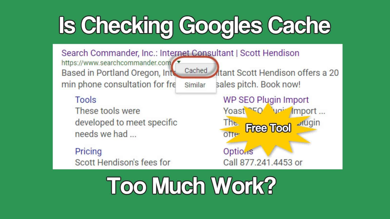 Tool to View Googles Cache