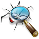 Examine your local listings